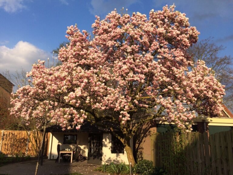 De Energieke Tuin – Dieren